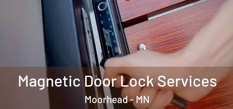 Magnetic Door Lock Services Moorhead - MN